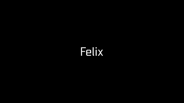 Felix - Identity Development — image 1