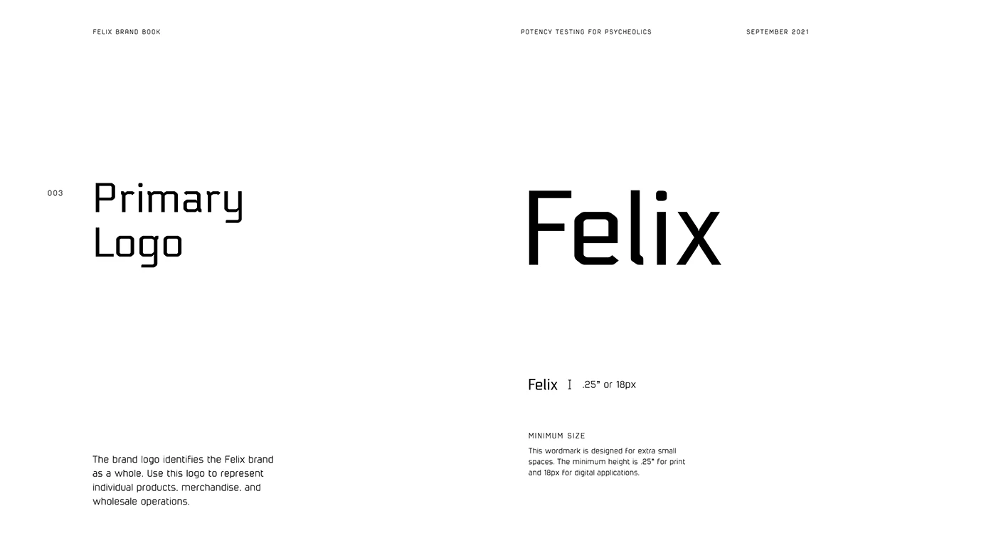 Felix - Identity Development — image 2