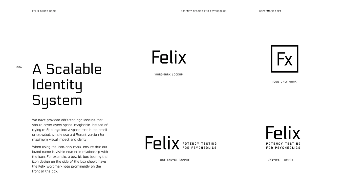 Felix - Identity Development — image 3