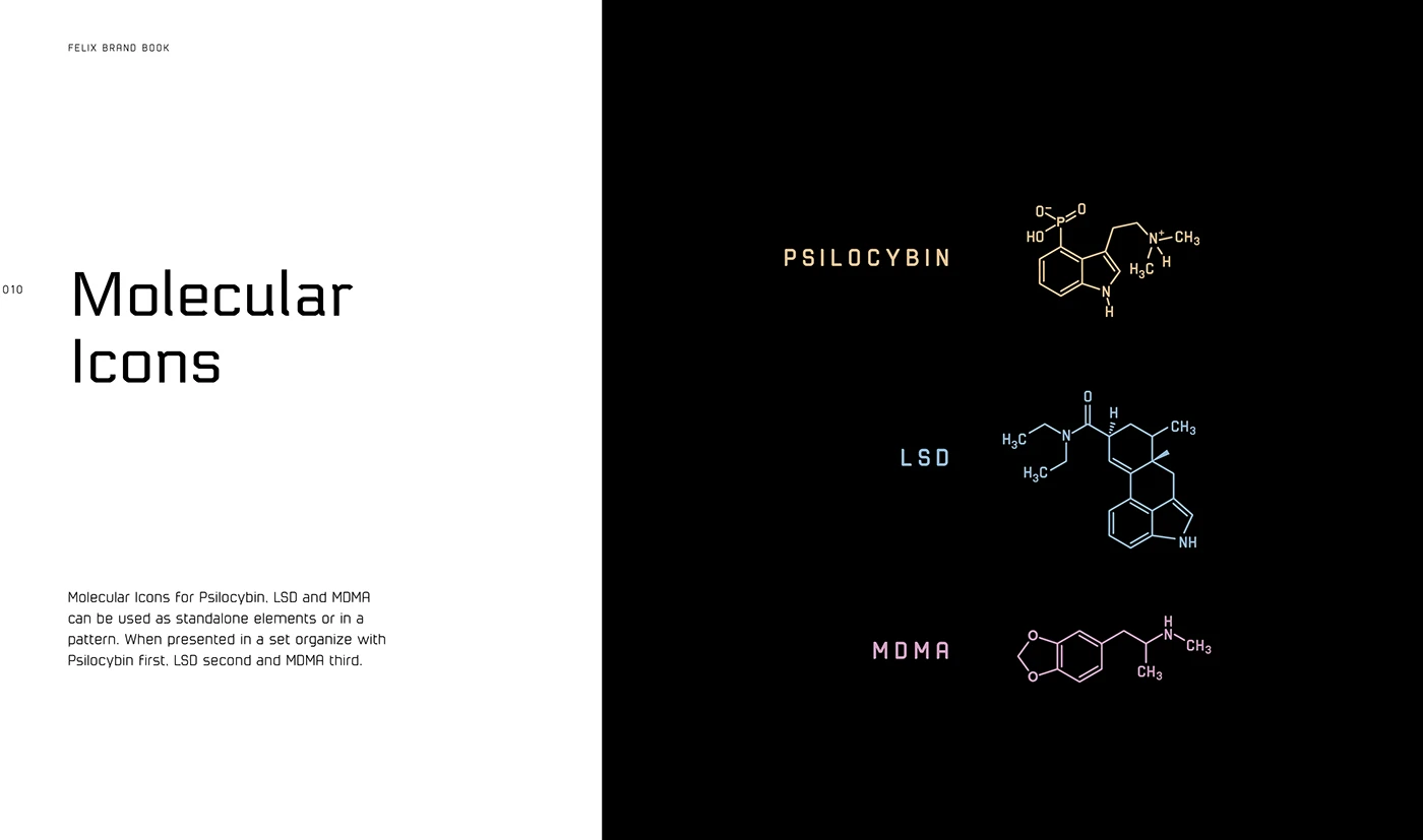 Felix - Identity Development — image 7