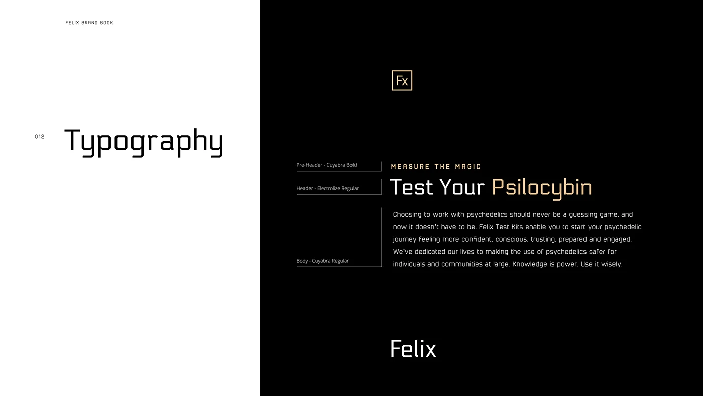 Felix - Identity Development — image 9
