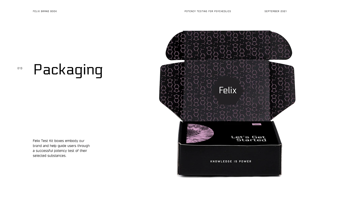 Felix - Identity Development — image 11