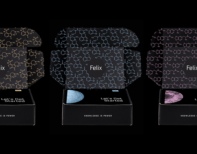 Felix - Identity Development