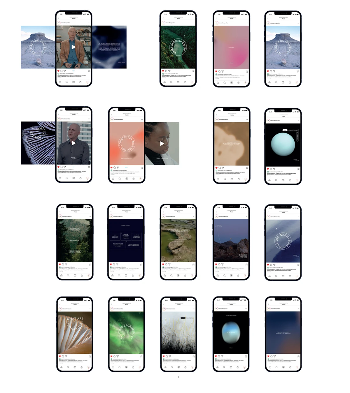 Mimosa - Identity Development — image 4